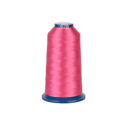 100 Individual colors 4000m 108D/2 40wt Richword Selected Polyester Embroidery Thread / Sewing Thread